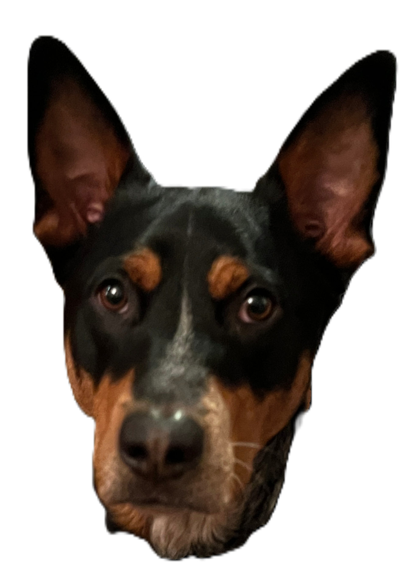 Bennie character